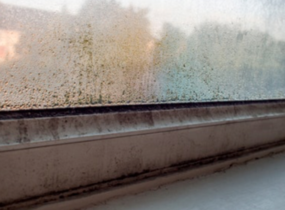 Cornwall Condensation Treatment