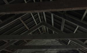 Cornwall Damp Proofing