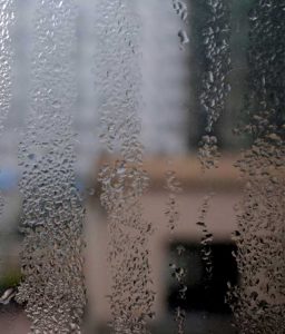 Condensation Treatment Cornwall