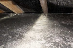 Cornwall Woodworm Treatment