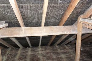 Cornwall Woodworm Treatment