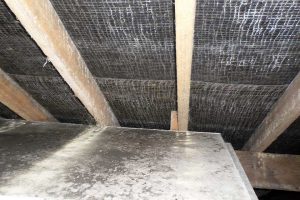 Cornwall Woodworm Treatment