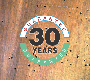 Cornwall Woodworm Treatment